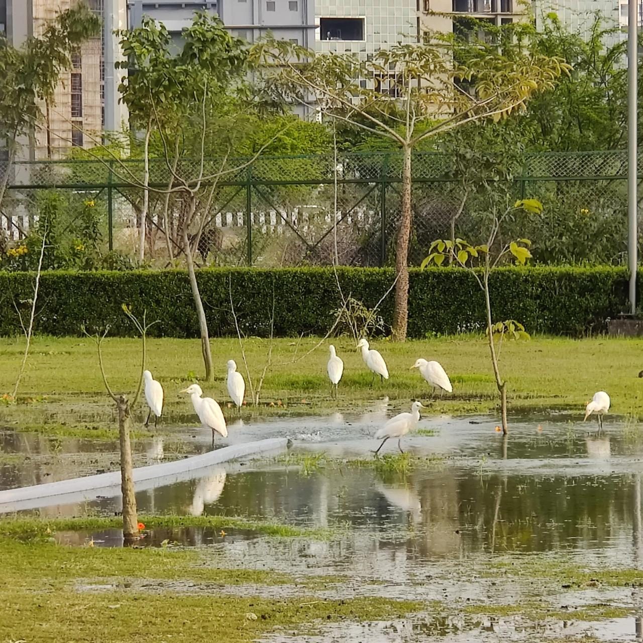Noida Biodiversity Park