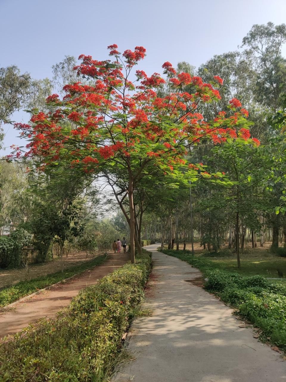 Noida Biodiversity Park photo 2